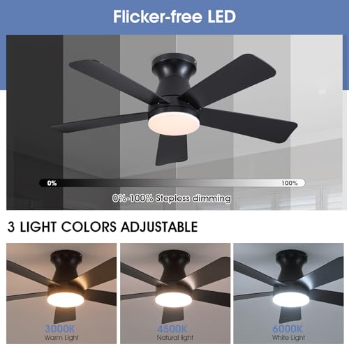 Goniyado 41-Inch Black Modern Low Profile Ceiling Fan with Lights & Remote - 5 Blades