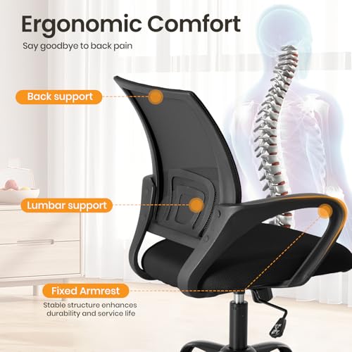 OLIXIS Office Desk Chair Set - Ergonomic Lumbar Support, 2 Pack, Black