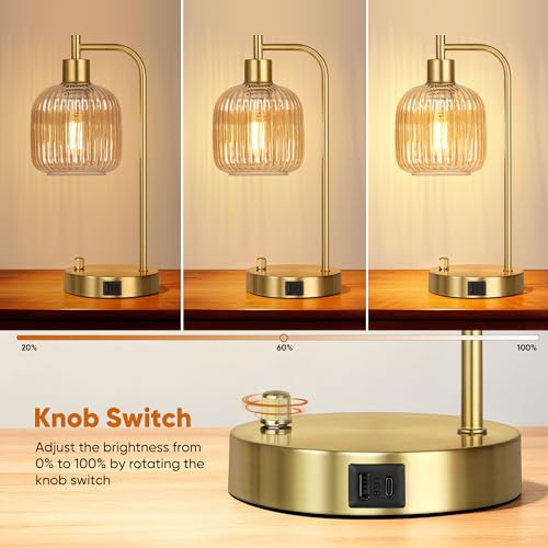 Dimmable Champagne Glass Table Lamps Set of 2 with USB Ports - Gold & Champagne Variation