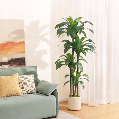 OAKRED 6ft Artificial Dracaena Tree with White Planter – Realistic Faux Indoor Plant for Home & Office Decor