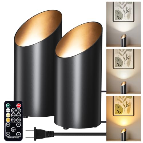 Brightown 2 Pack Black Indoor Uplights with Remote & Timer - Modern Floor Can Lights