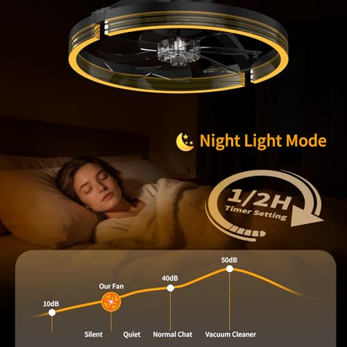 Aismillion 20 Inch Ceiling Fan with Lights & Night Light Mode - Grey