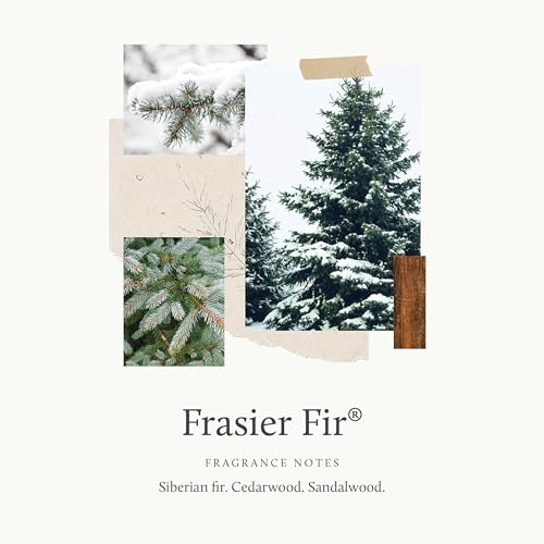 Frasier Fir Scented Candle - 21 oz Green Heritage Holiday Candle with 4 Wicks