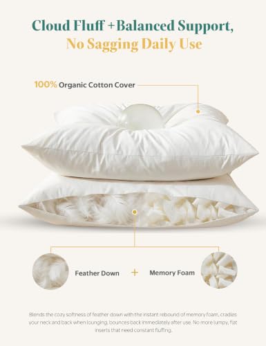 White Goose Feather Down Throw Pillow Inserts 20x20 Inch Set of 2 - Organic Cotton Cover