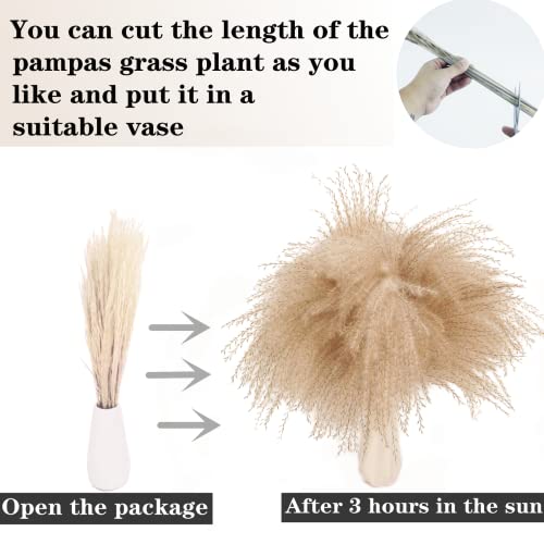 ANPROOR 300PCS Dried Flower Bouquet with Pampas Grass - Boho Wedding & Home Decor