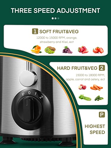 HOUSNAT Silver Juicer Machine for Whole Fruits & Vegetables, 3 Speeds