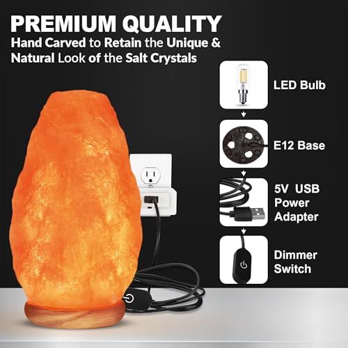 Himalayan Glow Pink Salt Lamp with Dimmable LED Night Light, Wooden Base, 6-8 lbs
