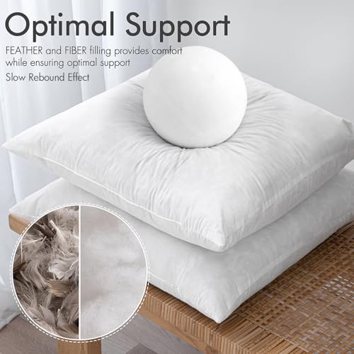 22x22 Inch Pillow Inserts Set of 2 - Feather & Polyester Blend Plush Support