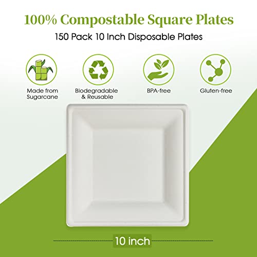 ECOLipak 150 Piecs Compostable Square Paper Plates, 10 inch, White