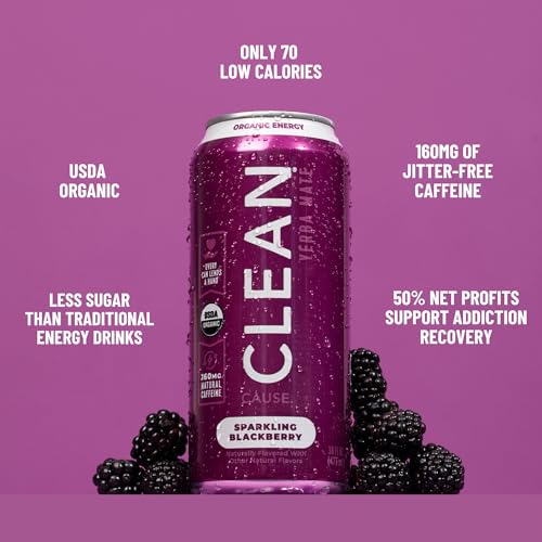 CLEAN Cause Organic Blackberry Yerba Mate Sparkling Energy Drink - Low Calorie, Natural Caffeine, 12 Pack
