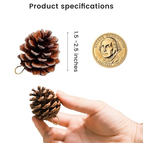 JOHOUSE 18 PCS Hanging Natural Pine Cones, Rustic Pinecones Crafts with String Fall Garland Decor Christmas Tree Ornaments Winter Vase Filler