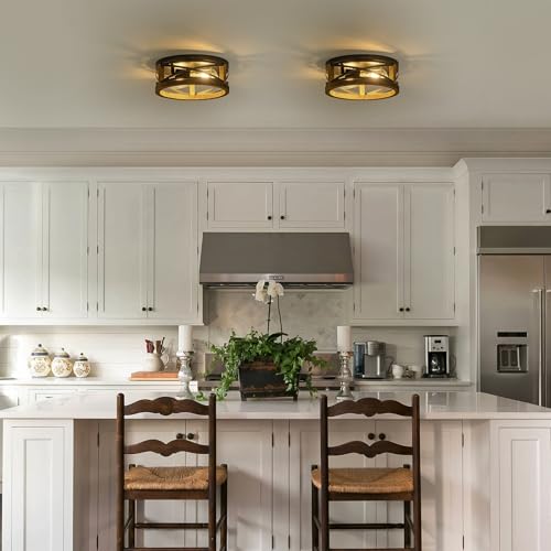 Lzglyptics Black Farmhouse Ceiling Light 2-Light Round Flush Mount Fixture