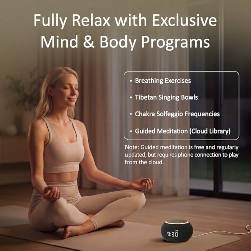 Hotmoon Luna Pro Smart Sound Machine Black - 507 Sounds, Dual-Stage Alarm, Plug-in