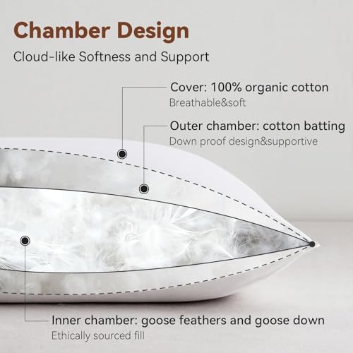 Queen Goose Feather and Down Pillow Set - Ethically Sourced, Hotel Quality