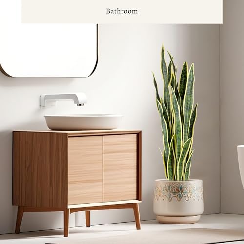Artificial Snake Plant 3ft 2-Pack - Faux Sansevieria in Yellow, Indoor Home Decor