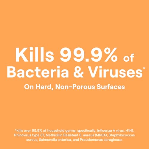 Disinfectant Wipes Lemongrass Citrus 70 Count Pack of 6 - Kills 99.99% Germs