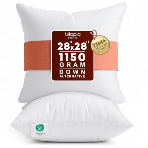 White 28x28 Inch Pillow Inserts - Pack of 2 for Couch & Bed, Soft Durability