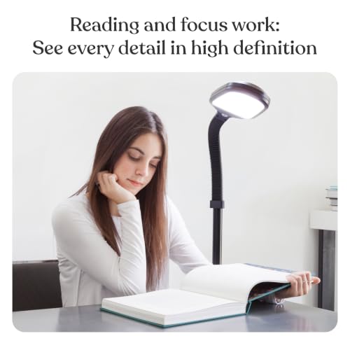 LED Floor Reading Lamp with Adjustable Gooseneck - Black