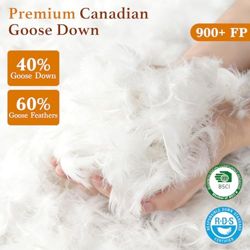 Queen Size Canadian Goose Down Pillow Set of 2 - Premium Luxury Bedding