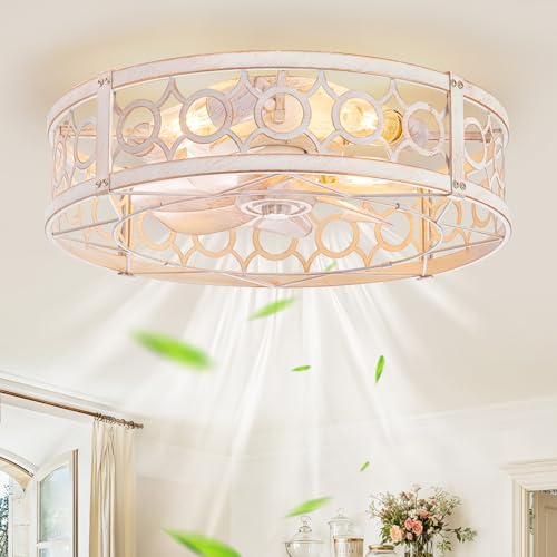 LEDIARY 20in Caged Low Profile Ceiling Fan Light with Remote - White & Gold