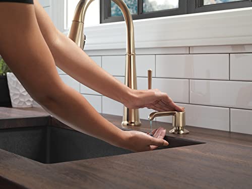 Emmeline Soap Dispenser Champagne Bronze for Kitchen - 13 oz