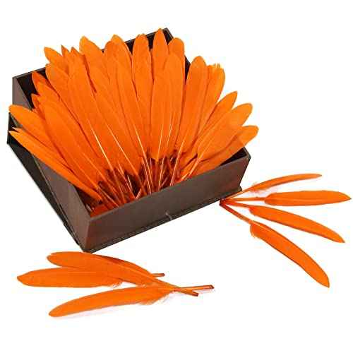 FeelfunFeather 120pcs Orange Goose Cochettes Feather Natural Bulk 4-6 inch 10-15cm for Wedding Party Christmas Halloween Decorations DIY Crafts Goose Cochettes Feather