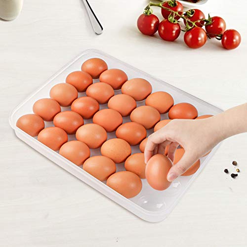 HANSGO Deviled Egg Containers with Lid, Portable Devil Egg Holder for 30 Eggs Clear Deviled Egg Carrier Tray for Home Party Kitchen Fridge Organizer