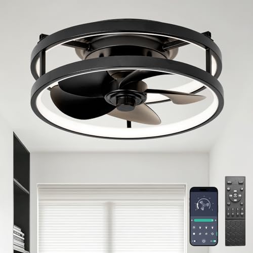 Zoruny 13" Small Low Profile Ceiling Fan with Light & Remote - Black