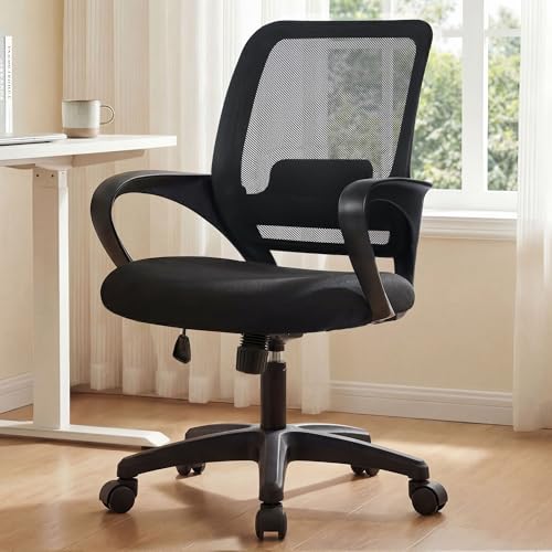 NEO CHAIR Home Office Desk Ergonomic Mesh with Lumbar Support, Black