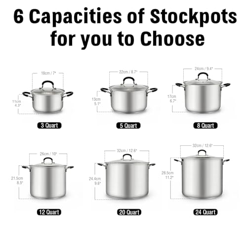 12 Quart Stainless Steel Stock Pot with Lid - Large Cooking Pot for Soup & Canning