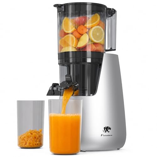 Cold Press Juicer Machine with 6-Inch Wide Feed Chute - Silver - Powerful Brushless Motor, Self-Precut System, BPA-Free Parts, Extra Strainer