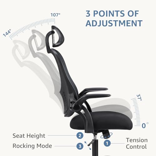 DUMOS Black Ergonomic Office Chair with Lumbar Support & Flip-up Armrests