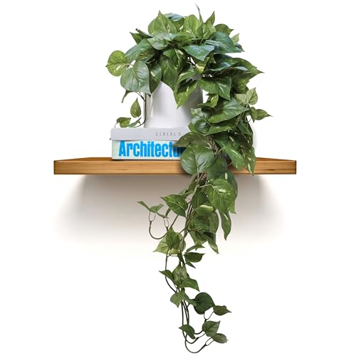 Artificial Potted Plant with Dark Green Faux Hanging Vine - Realistic Indoor Decor