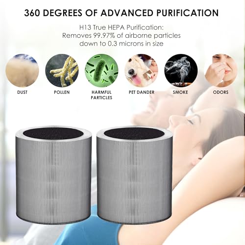 Replacement Air Purifier Filter Set for Winix C610 - 3-in-1 H13 HEPA & Activated Carbon - 2 Pack