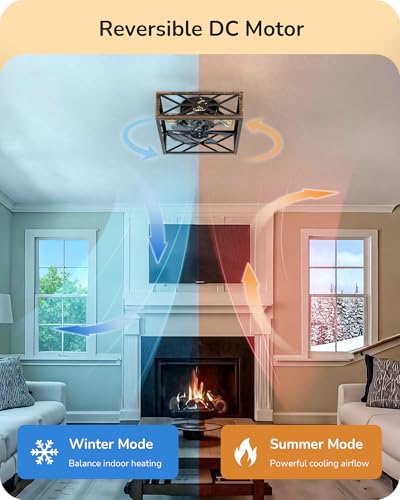 EDISHINE 20-Inch Rustic Cage Ceiling Fan with Lights and Remote - Gold