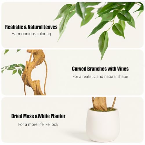 6ft Large Faux Ficus Tree in White Pot - Realistic Indoor Artificial Tree