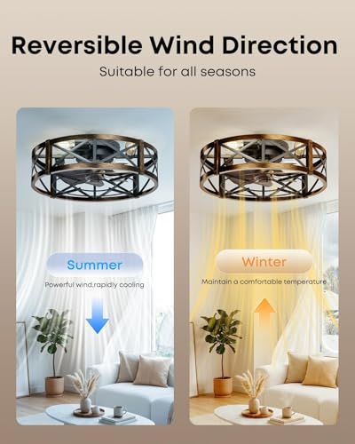 20-Inch Low Profile Caged Ceiling Fan with Light & Remote - Black & Gold