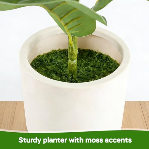Artificial Fiddle Leaf Fig Tree Set - 35 Inch Indoor Outdoor Faux Plant with Pot, 2 Pack