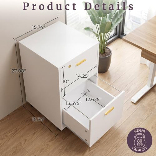 White Wooden File Cabinet with Lock & 2 Drawers - 16x27 Inch, Gold Hardware Variation