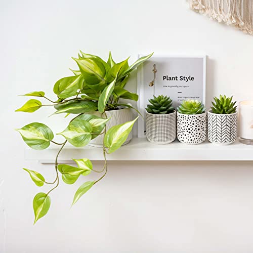 Artificial Pothos Plant with Ceramic Pot - Green Faux Trailing Ivy for Shelves