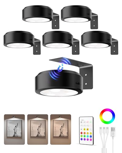 Black 6 Pack Rechargeable Picture Lights for Wall Art with Remote & Timer