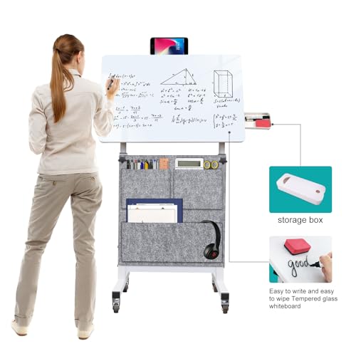 24 Inch Adjustable Standing Desk with Wheels & Writable Surface - Bag Included - 16x24 Inch Variation