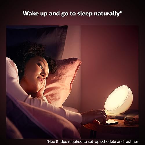 Philips Hue Go 1-Pack Portable Smart Table Lamp - White & Color Ambiance (Variation: Go)