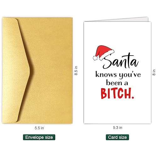 Bitch Christmas Card for Her - Funny Snarky Card for Bestie Sister, Santa Knows You've Been A Bitch