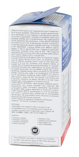 Intenza Water Filter for Gaggia Espresso Machines - Double Pack