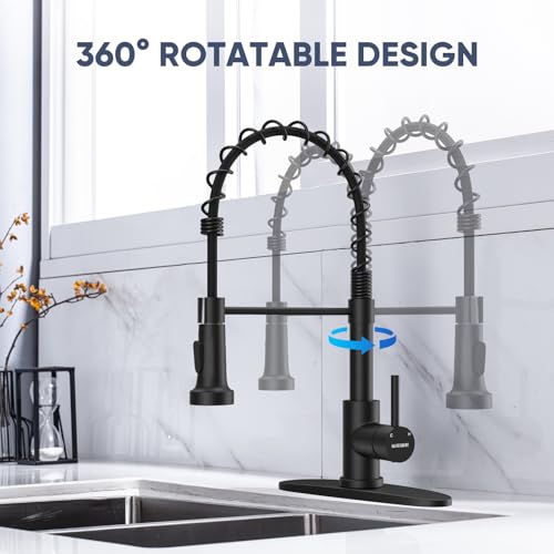 Black Kitchen Faucet with Pull Down Sprayer & High Arc Spout - Matte Black / Classic
