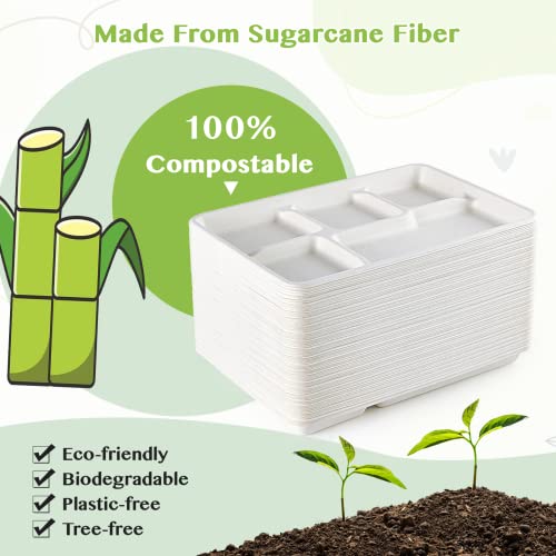 ECOLipak 12.5 x 8.6 Inch Compostable 5-Compartment Paper Plates 100 Pack