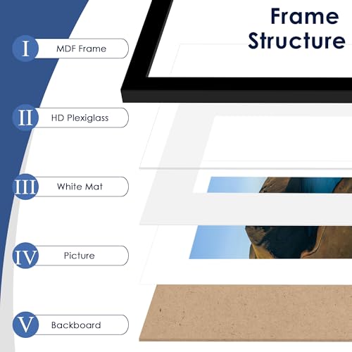 PEALSN Black 18x24 Poster Frame Set of 6 Wall Mount Display