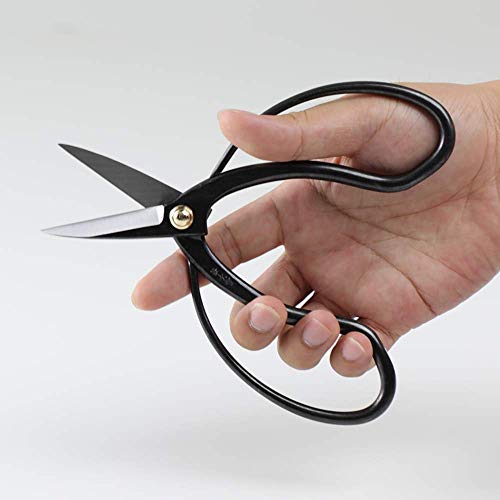 Hanafubuki Wazakura Bonsai Scissors Made in Japan 7inch(180mm),