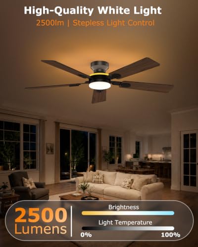 Black 52 Inch Ceiling Fan with Light and Remote App Control - Flush Mount